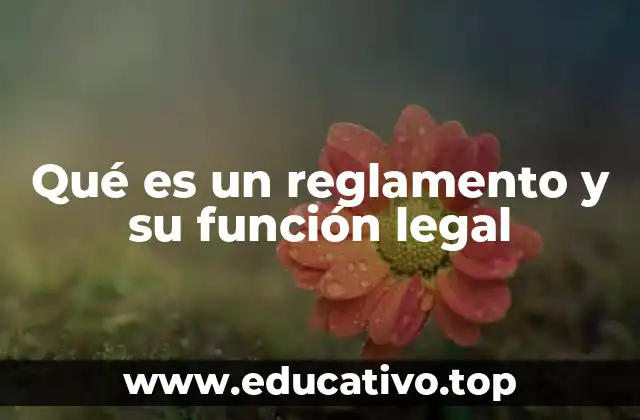 Qué es un reglamento y su función legal