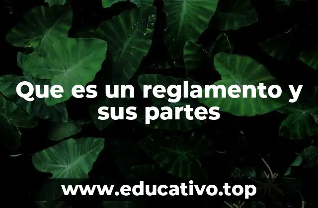 Que es un reglamento y sus partes