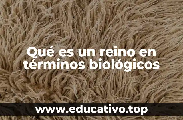 Qué es un reino en términos biológicos
