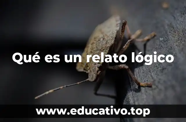 Qué es un relato lógico