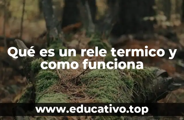 Qué es un rele termico y como funciona