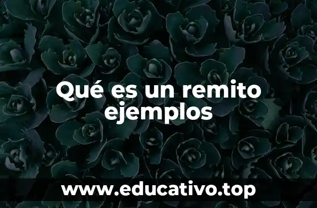 Qué es un remito ejemplos