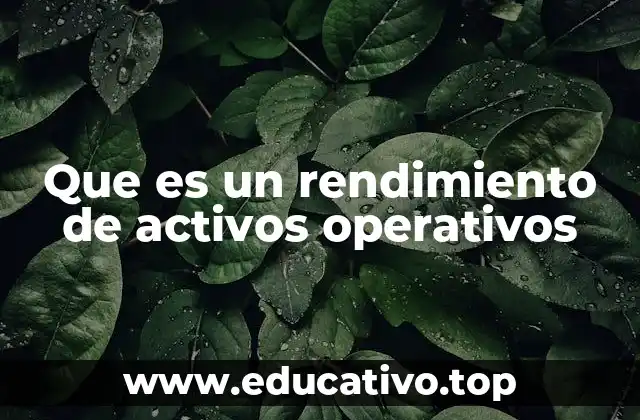 Que es un rendimiento de activos operativos