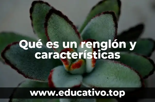 Qué es un renglón y características