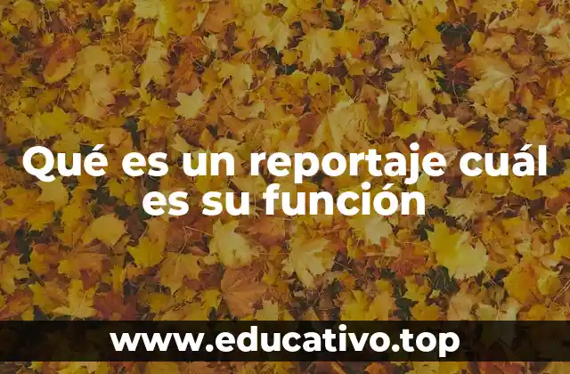 Qué es un reportaje cuál es su función