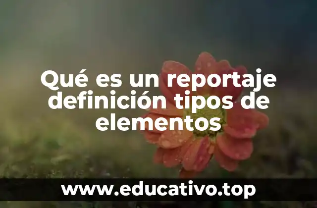 Qué es un reportaje definición tipos de elementos