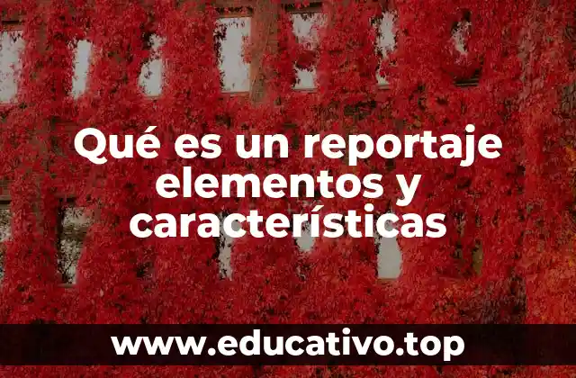 Qué es un reportaje elementos y características