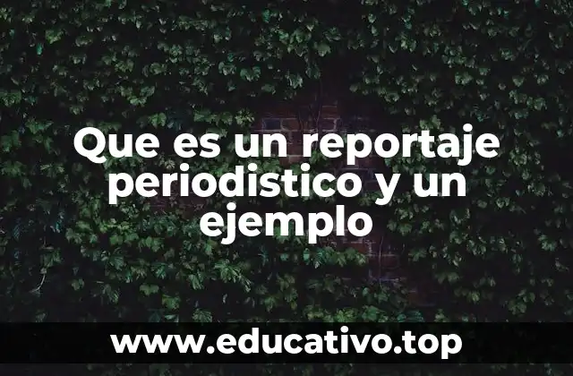 Que es un reportaje periodistico y un ejemplo
