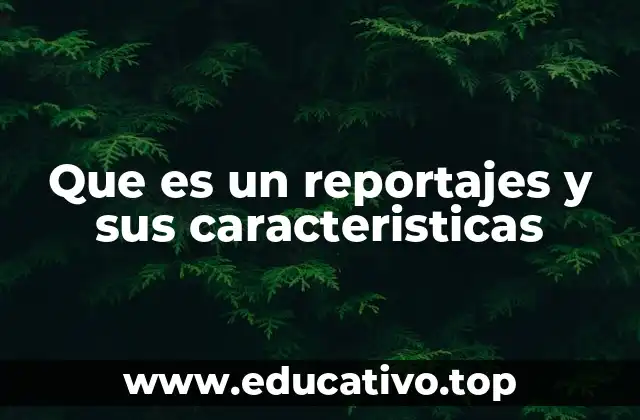 Que es un reportajes y sus caracteristicas