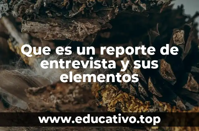 Que es un reporte de entrevista y sus elementos
