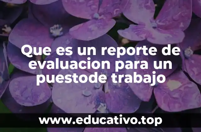 Que es un reporte de evaluacion para un puestode trabajo