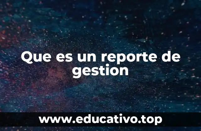 Que es un reporte de gestion