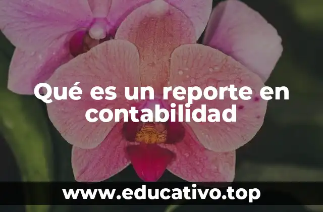 Qué es un reporte en contabilidad
