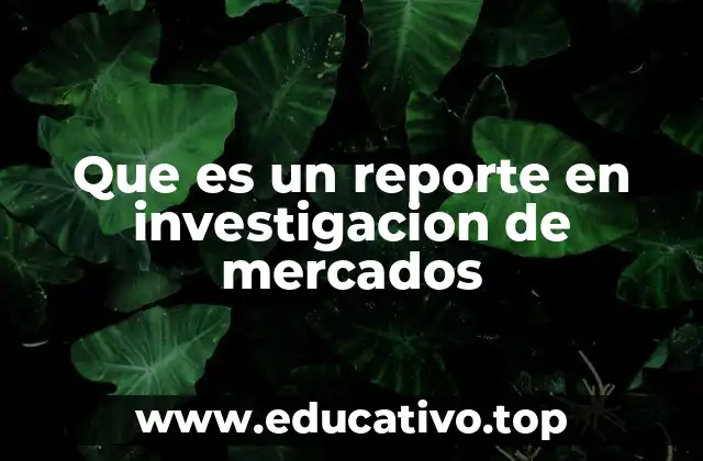 Que es un reporte en investigacion de mercados