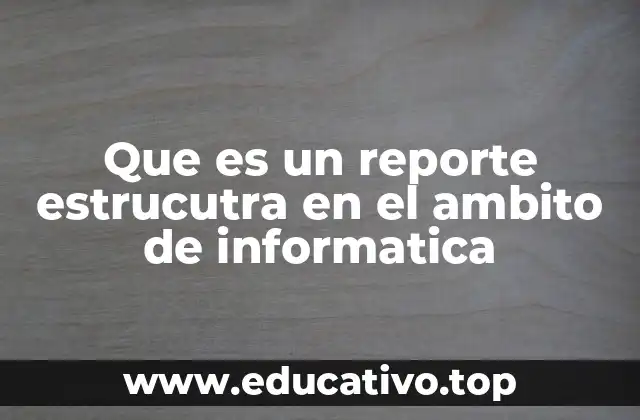 Que es un reporte estrucutra en el ambito de informatica
