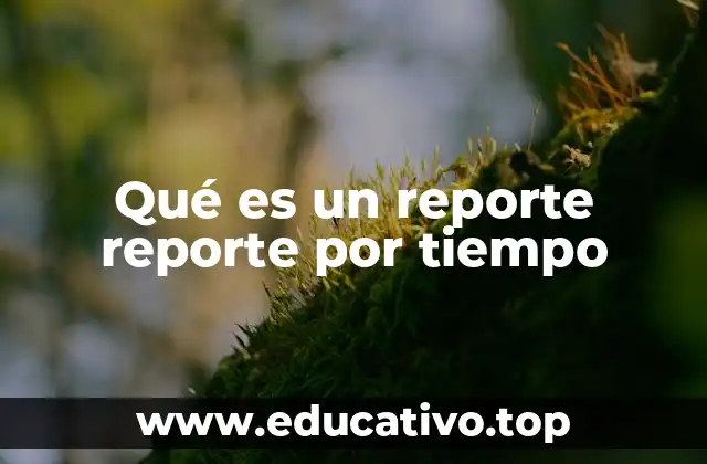 Qué es un reporte reporte por tiempo