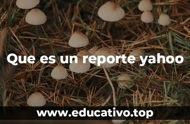 Que es un reporte yahoo