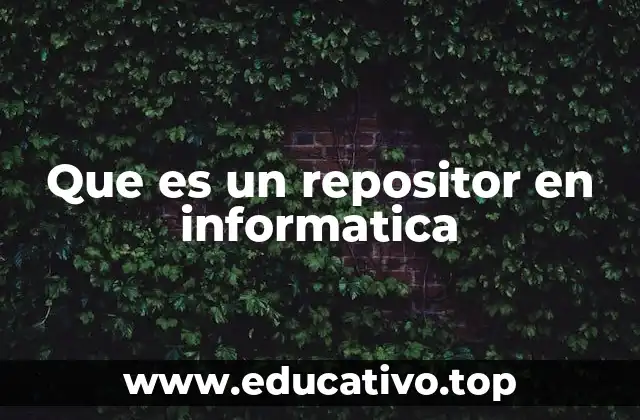 Que es un repositor en informatica