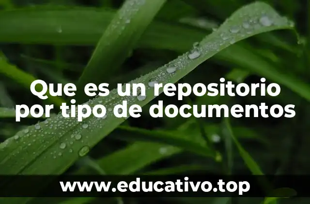 Que es un repositorio por tipo de documentos