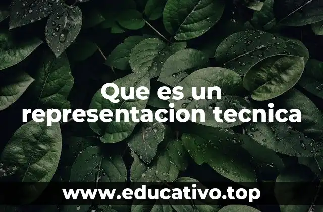 Que es un representacion tecnica