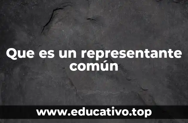 Que es un representante común