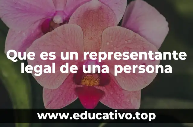 Que es un representante legal de una persona