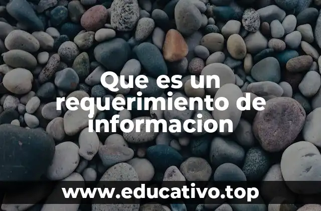 Que es un requerimiento de informacion