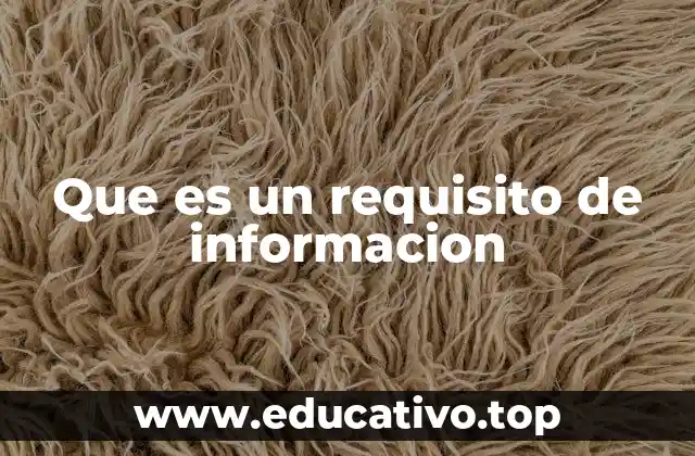 Que es un requisito de informacion