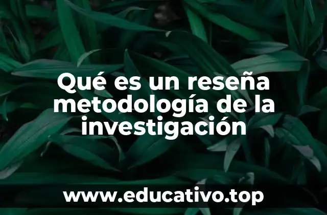 Qué es un reseña metodología de la investigación