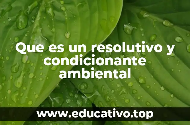 Que es un resolutivo y condicionante ambiental