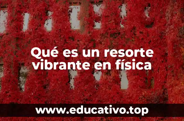 Qué es un resorte vibrante en física