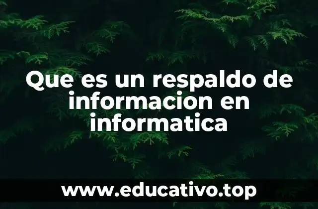 Que es un respaldo de informacion en informatica
