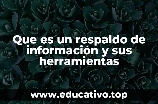 Que es un respaldo de información y sus herramientas