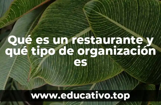 Qué es un restaurante y qué tipo de organización es