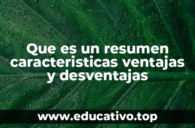 Que es un resumen caracteristicas ventajas y desventajas
