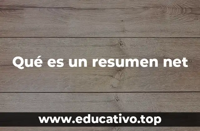 Qué es un resumen net