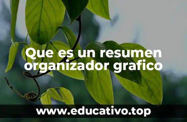Que es un resumen organizador grafico