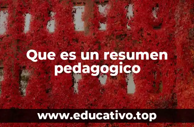 Que es un resumen pedagogico