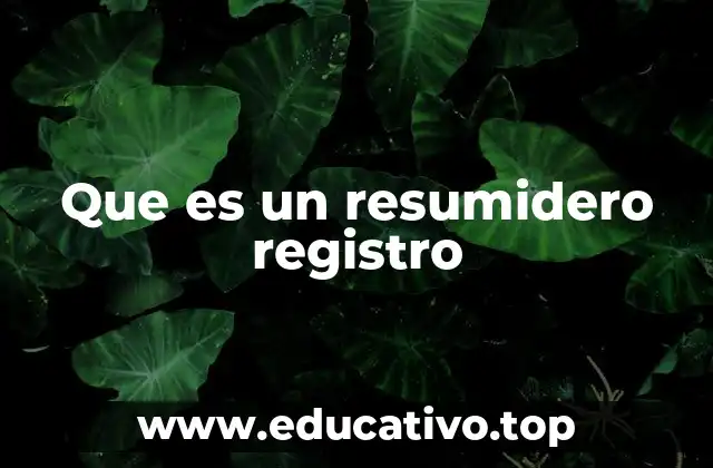 Que es un resumidero registro