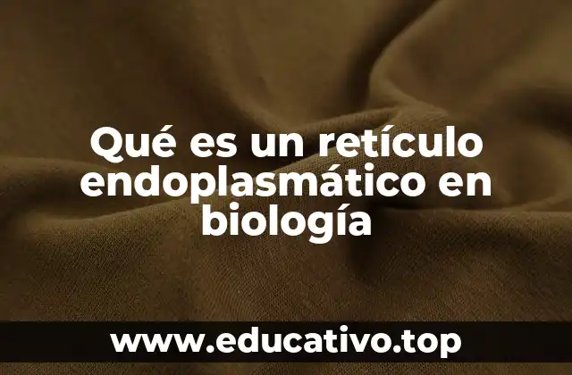 Qué es un retículo endoplasmático en biología