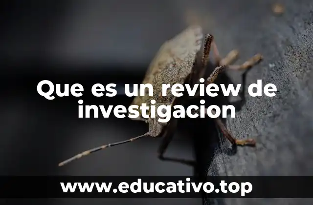 Que es un review de investigacion