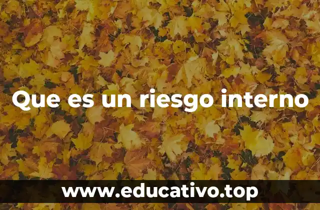Que es un riesgo interno
