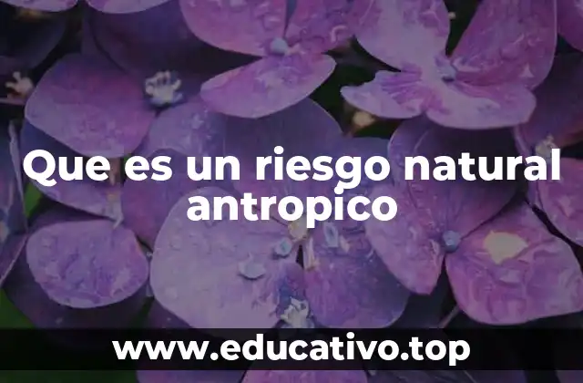 Que es un riesgo natural antropico