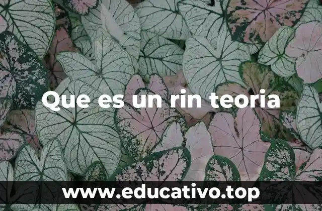 Que es un rin teoria
