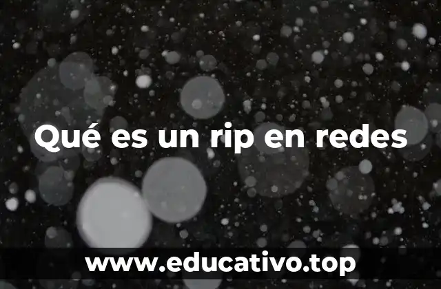 Qué es un rip en redes