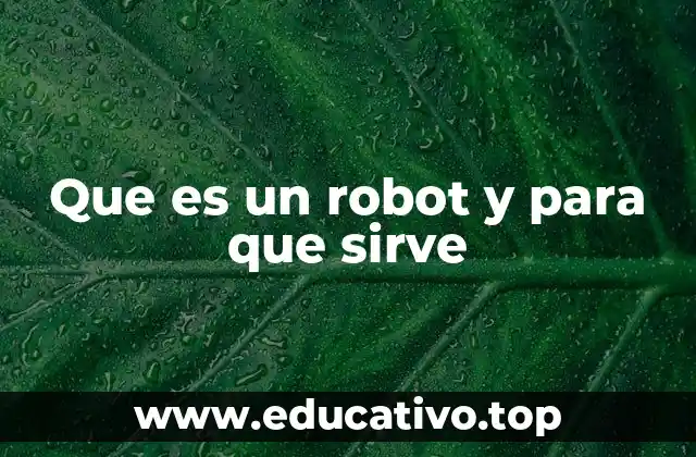 Que es un robot y para que sirve