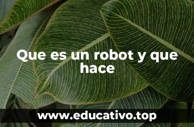 Que es un robot y que hace
