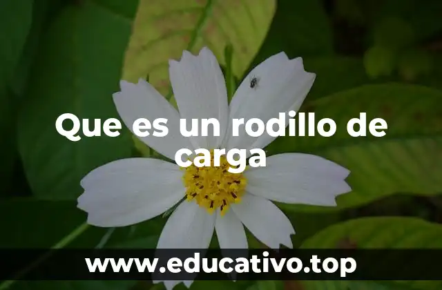 Que es un rodillo de carga