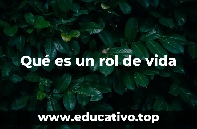 Qué es un rol de vida