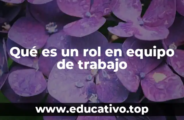 Qué es un rol en equipo de trabajo